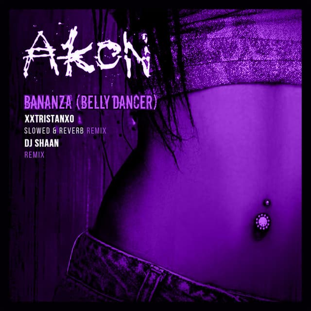 Bananza (Belly Dancer) - DJ Shaan Remix cover art