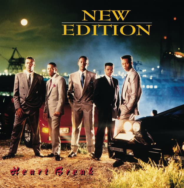 Can You Stand The Rain cover art