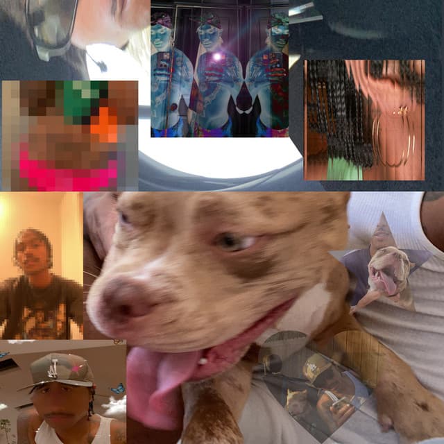 Donchano cover art