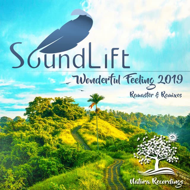 Wonderful Feeling - George Crossfield & NrgMind Orchestral Mix cover art
