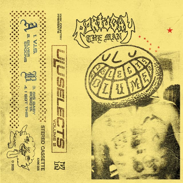 V.I.S. cover art