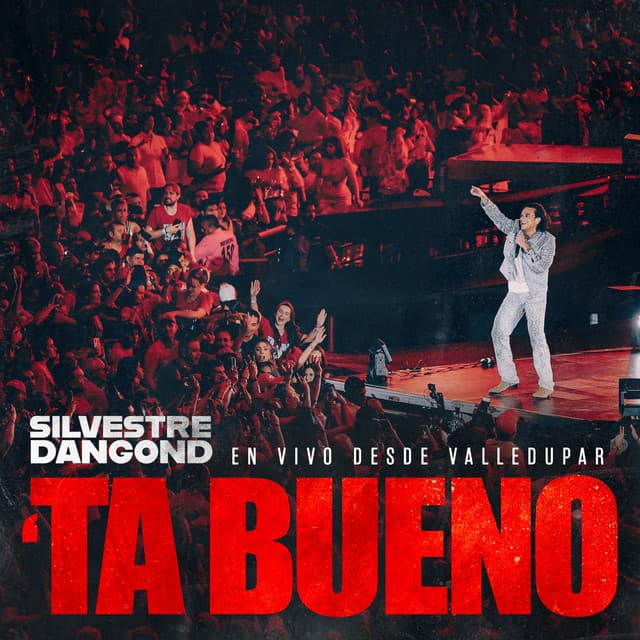 PASEO EN CONCORDIA - En Vivo cover art