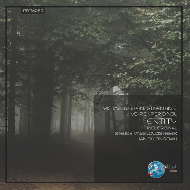 Entity cover art