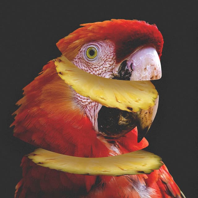 Paradise cover art