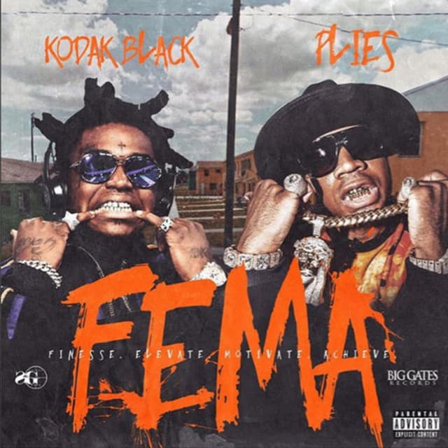 FEMA (Finesse Elevate Motivate Achieve) cover art