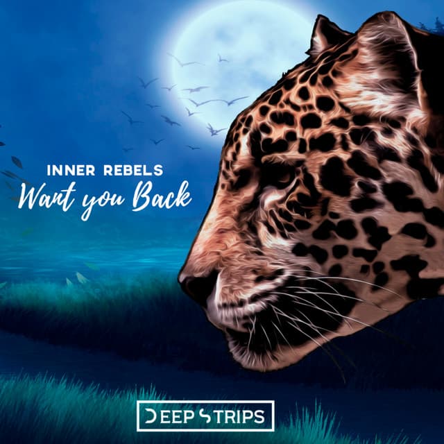 Want You Back - Kevin Karlson Remix cover art