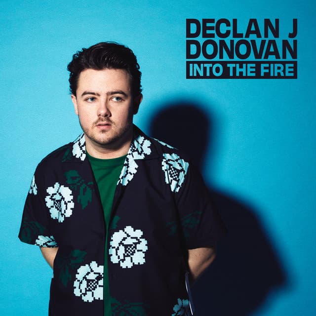 Into The Fire cover art