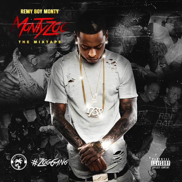 Shake cover art