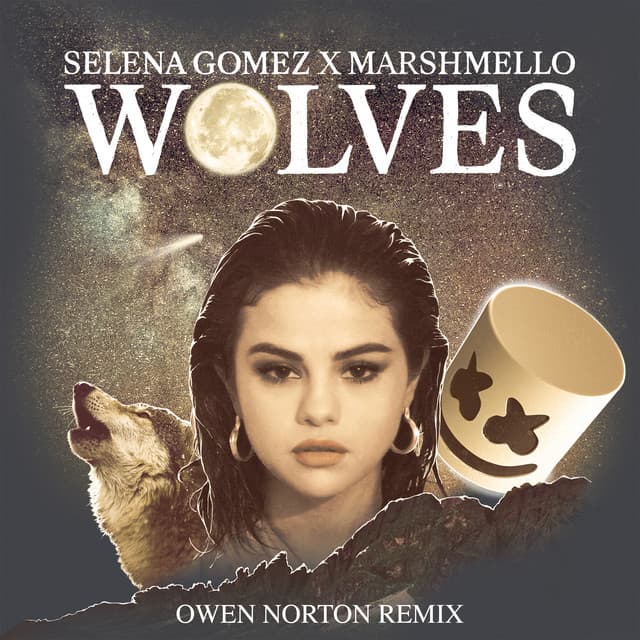 Wolves - Owen Norton Remix cover art