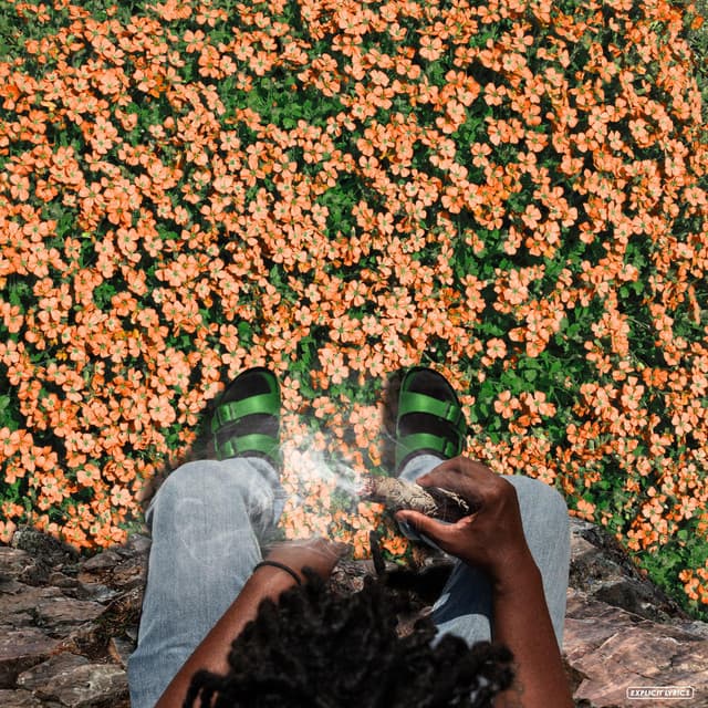 FAYA cover art
