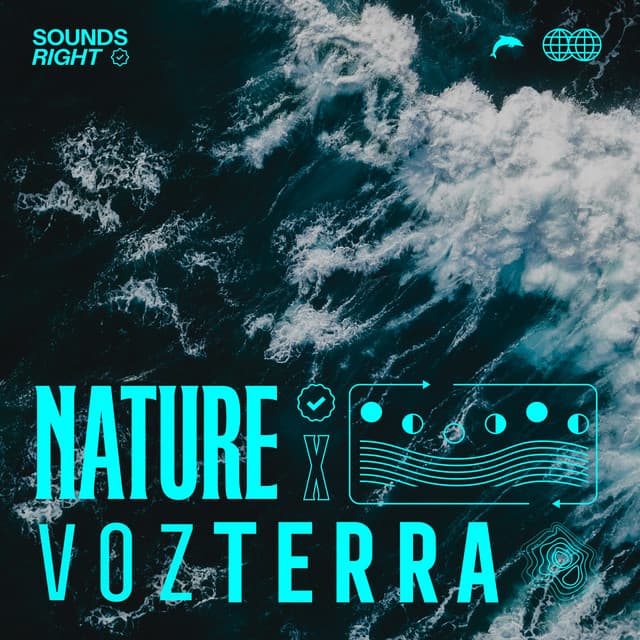 Ocean Sounds in Bahia Solano cover art