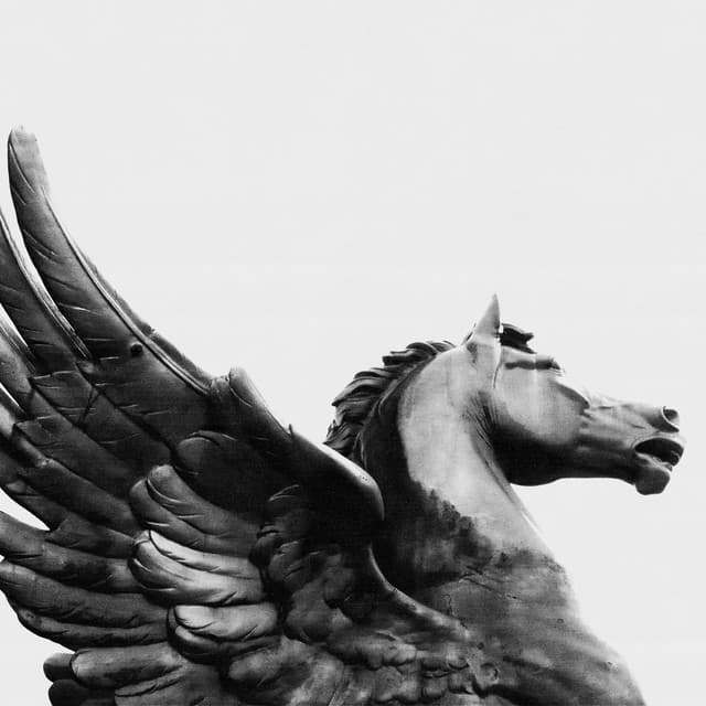 PEGASUS cover art