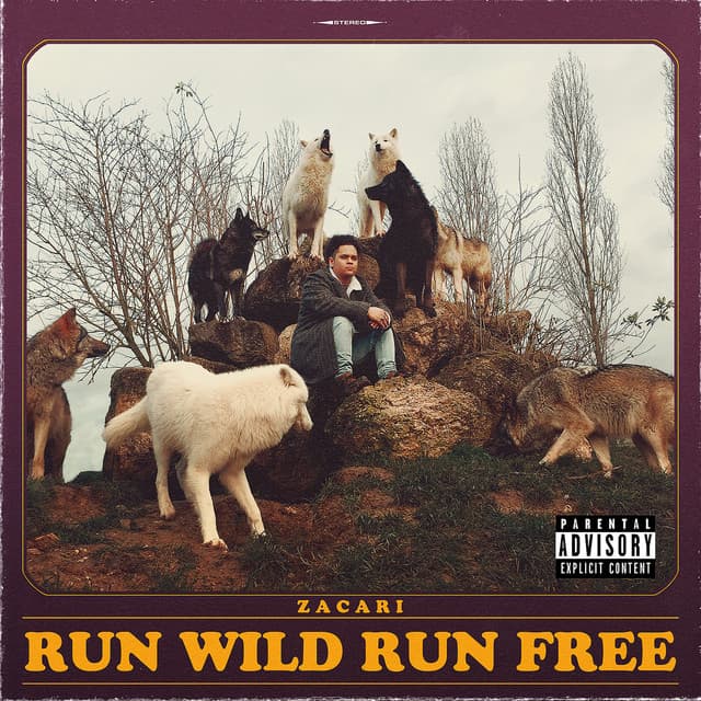 Run Wild Run Free cover art