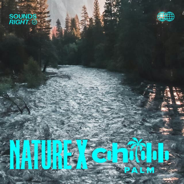 Soothing River Sounds cover art