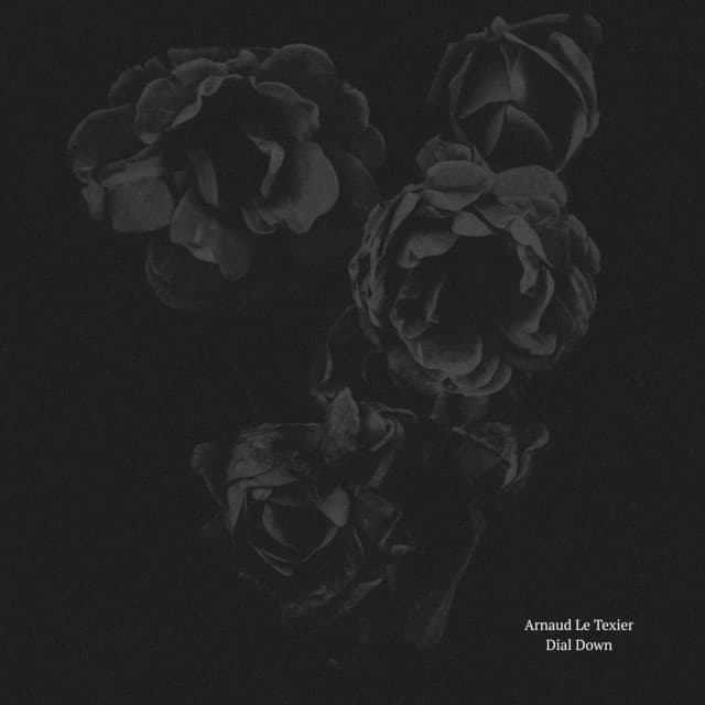 242 - RNGD Remix cover art