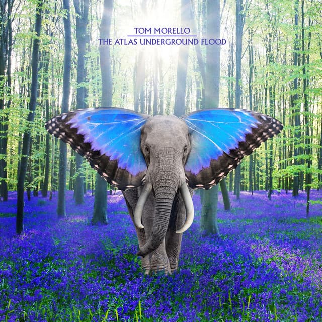 Parallels (feat. Jim James) cover art
