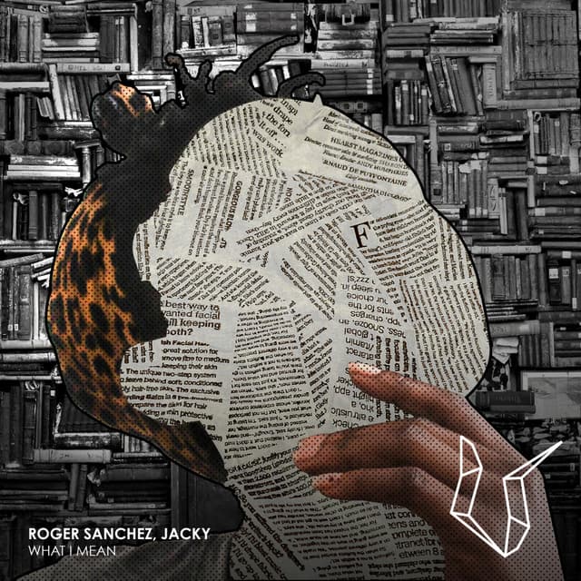 What I Mean - Rogue D Remix cover art