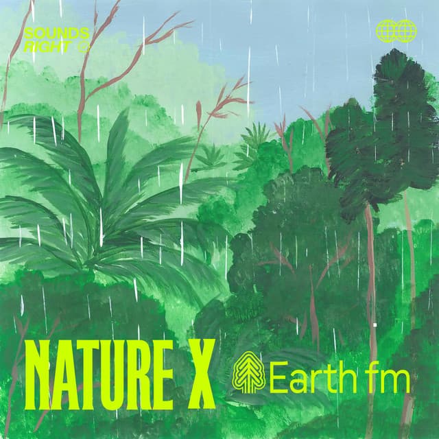 Soft Rain on Swampy Grounds with Slow Thunders cover art