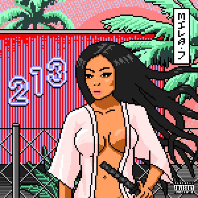 213 cover art