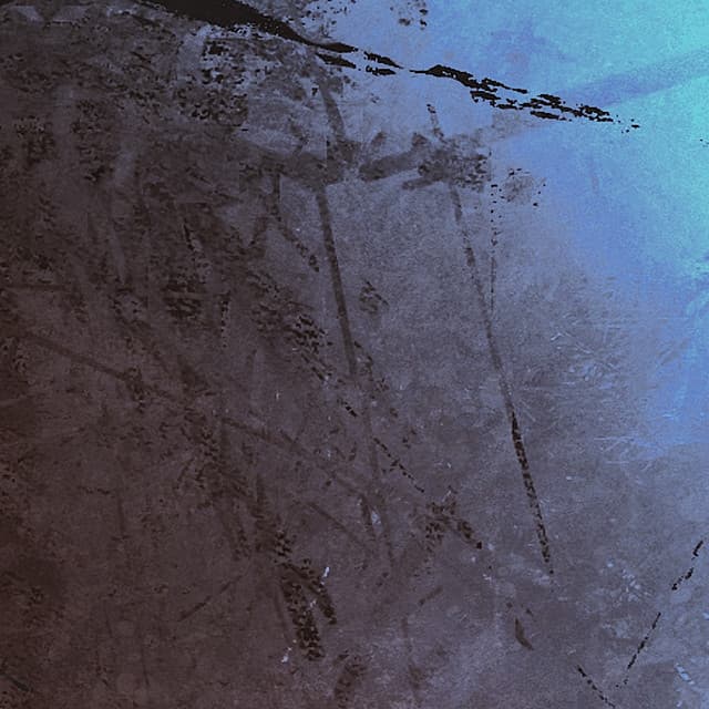 Life Basis cover art
