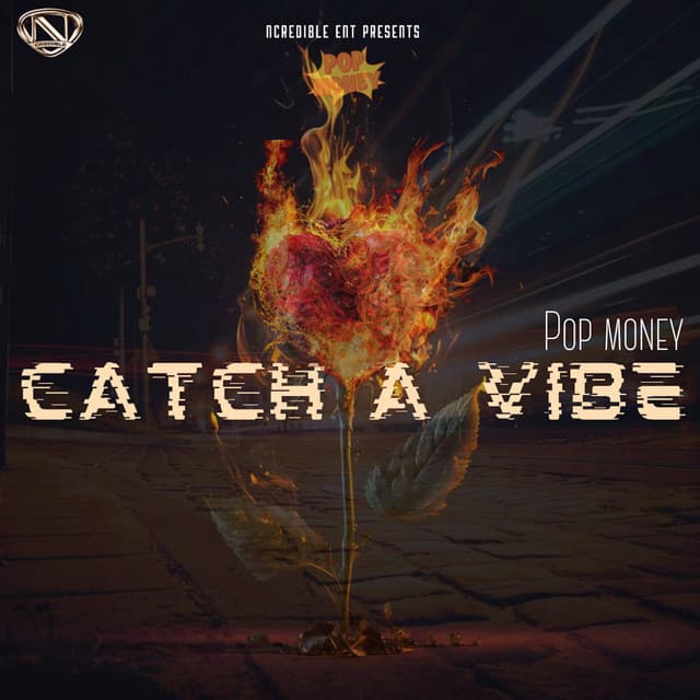 Catch a Vibe cover art