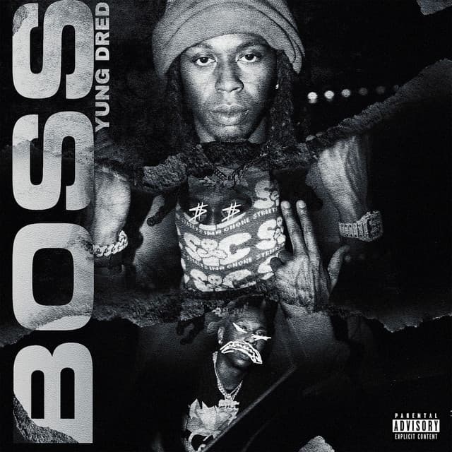 BOSS cover art