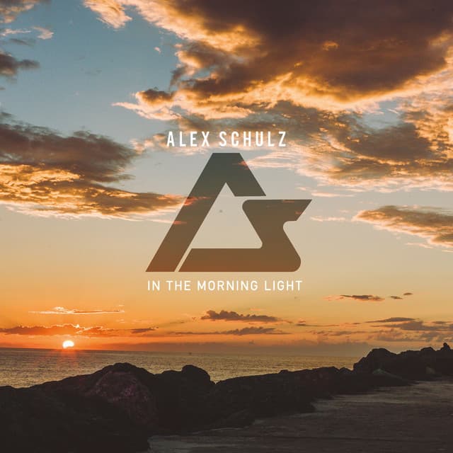 In the Morning Light - Radio Mix cover art