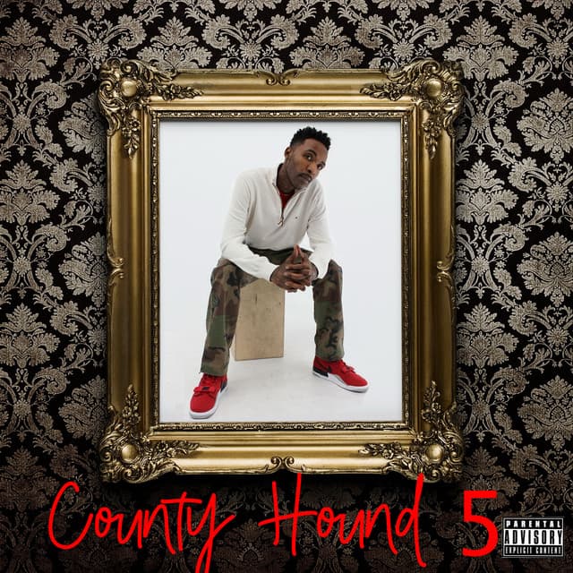 Levelz cover art