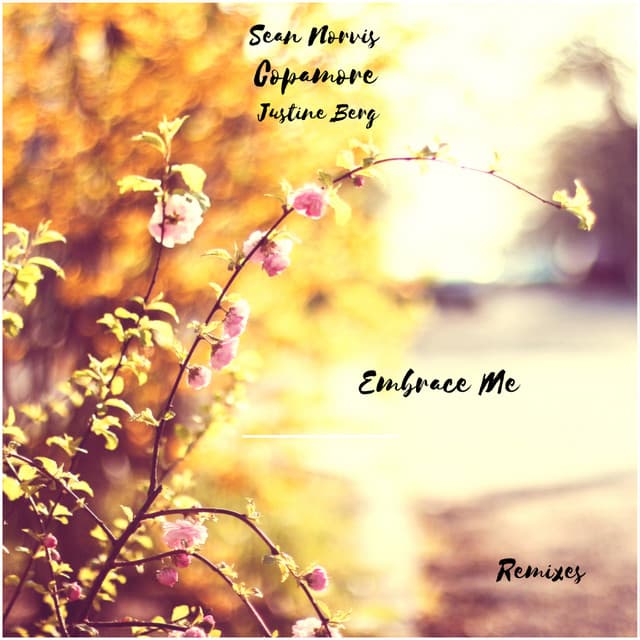 Embrace Me - Global Rockerz Extended Remix cover art