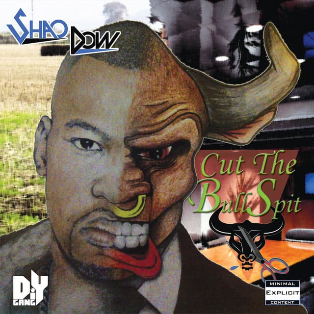 BullSpit cover art
