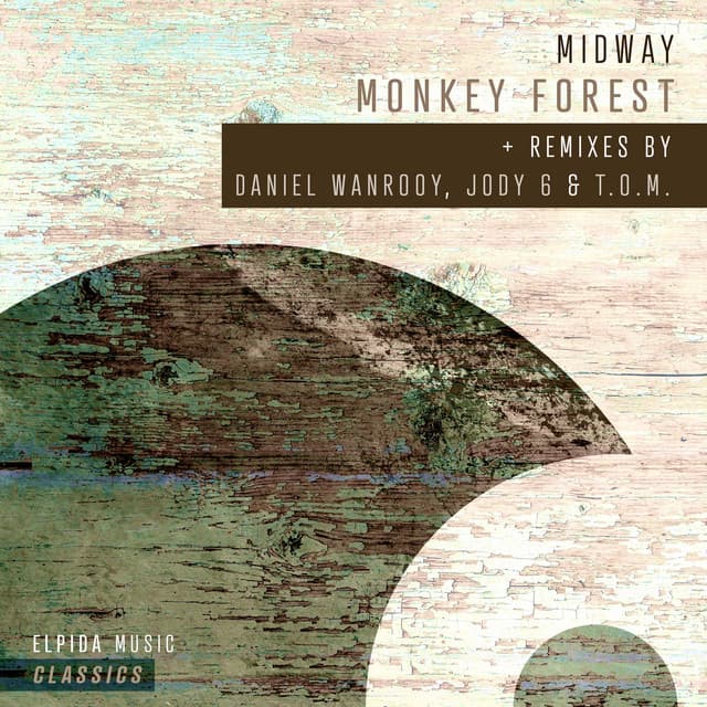 Monkey Forest - Daniel Wanrooy Remix cover art