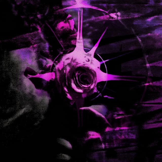 lust cover art