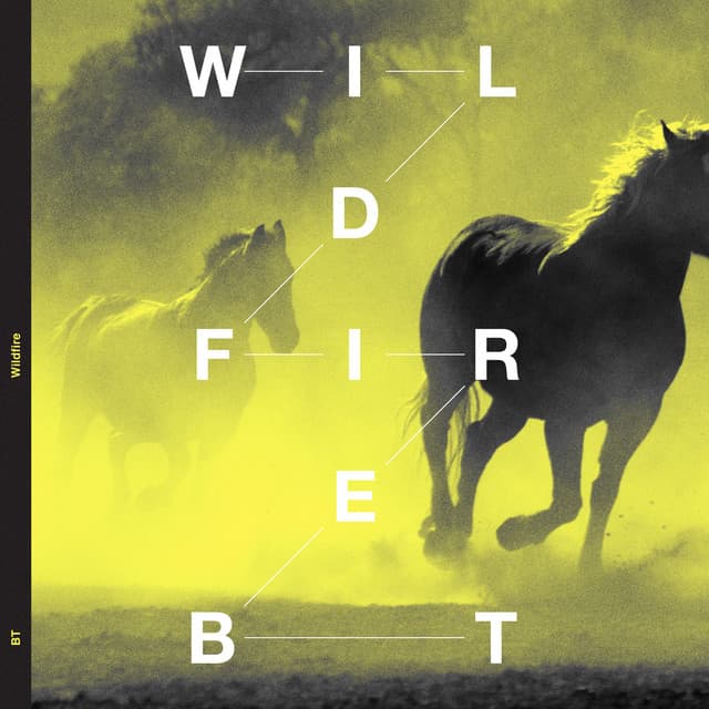 Wildfire cover art