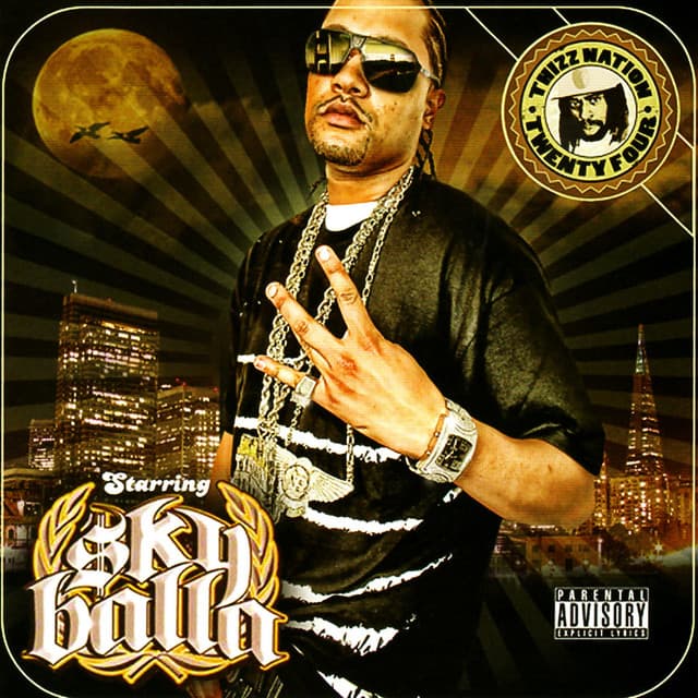 This Is How You Stunt cover art