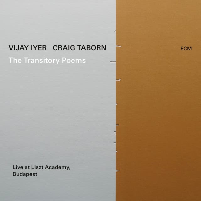 Shake Down - Live At Liszt Academy, Budapest / 2018 cover art