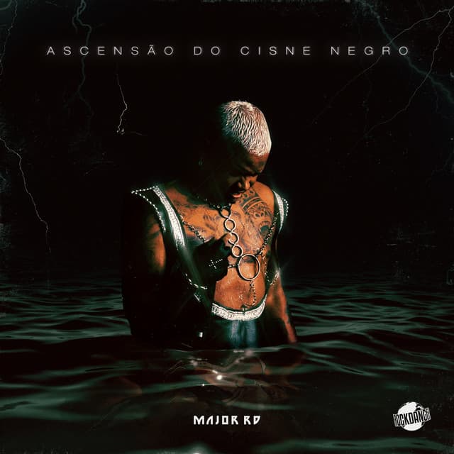Camisa P cover art
