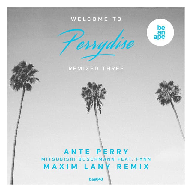 Mitsubishi Buschmann - Maxim Lany Remix Radio Edit cover art