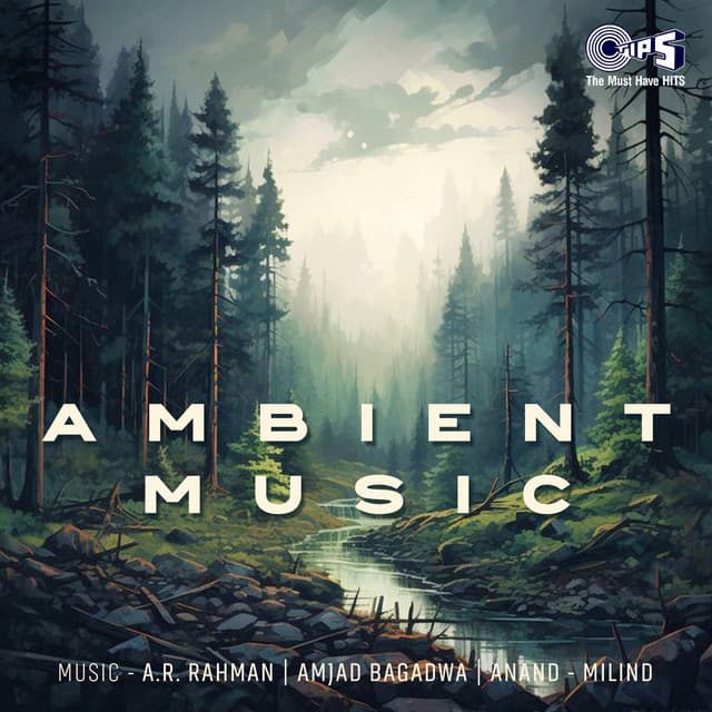 Aake Teri Baahon Mein (Instrumental) cover art