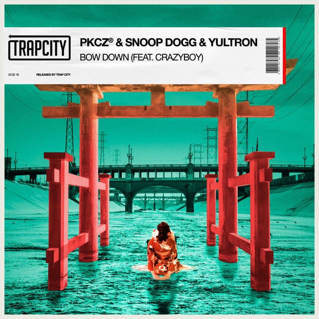 BOW DOWN (feat. CRAZYBOY) - Extended Mix cover art