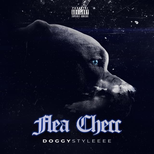 Blue Shoe Laces cover art