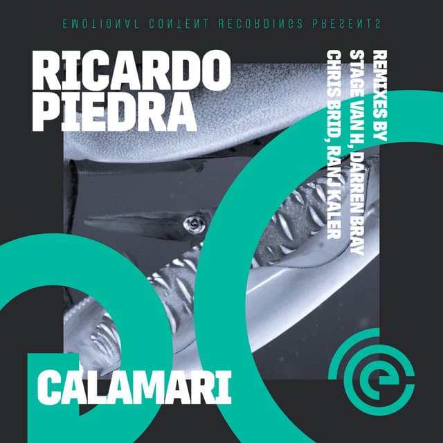 Calamari - Darren Bray Remix cover art