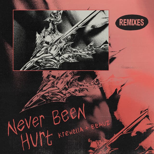 Never Been Hurt - 808GONG Remix cover art