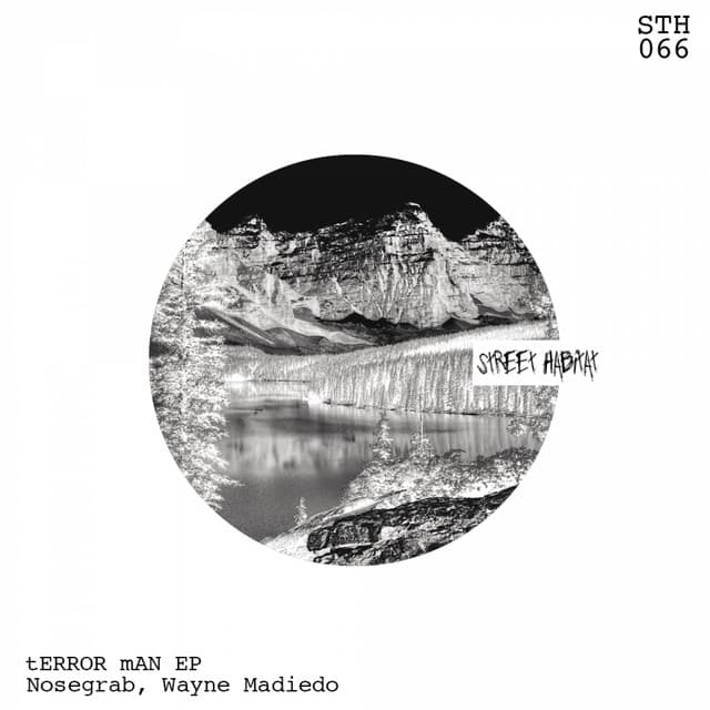 tERRORmAN cover art