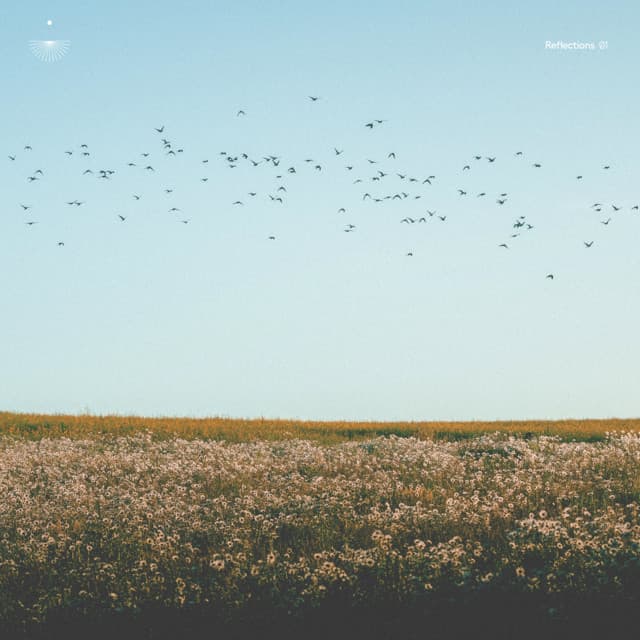 Reflections 01 cover art