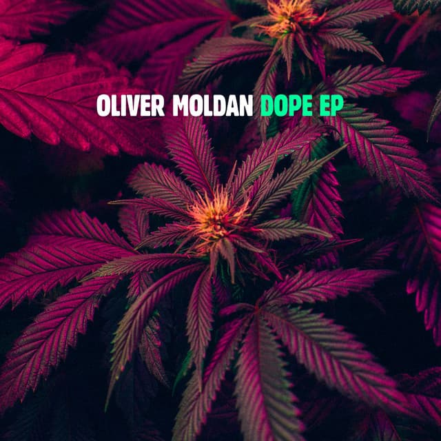Forgettable cover art