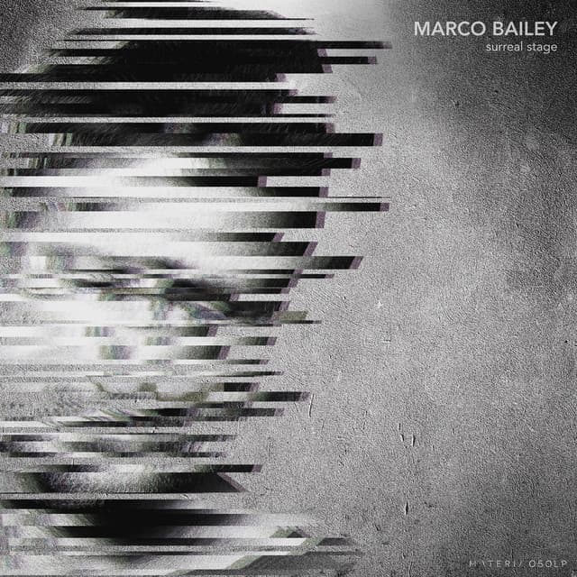 The Black Pearl - Original Mix cover art
