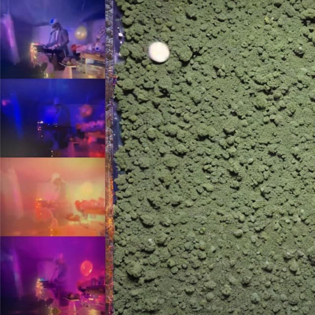 Disappearing Acts cover art