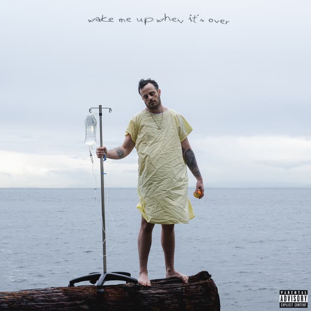 WAKE ME UP WHEN IT'S OVER cover art