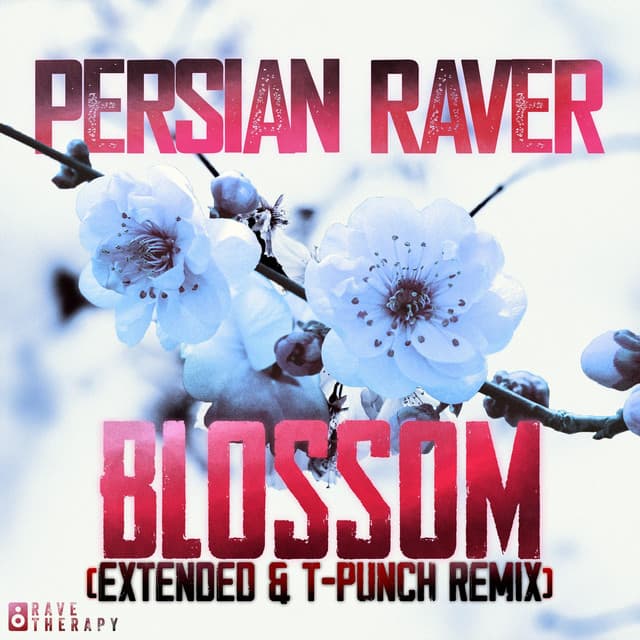 Blossom (Extended & T-Punch Remix) cover art