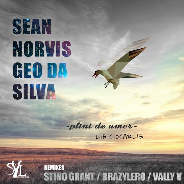 Plini De Umor (Lie Ciocarlie) - Brazylero Remix cover art